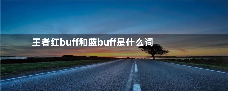 王者红buff和蓝buff是什么词