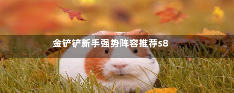 金铲铲新手强势阵容推荐s8