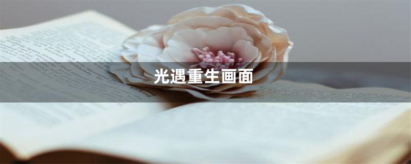光遇重生画面