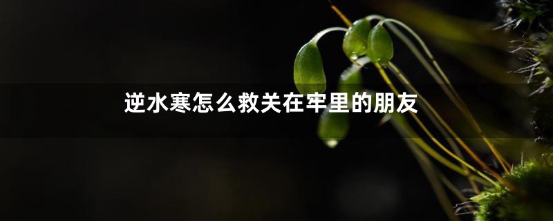 逆水寒怎么救关在牢里的朋友
