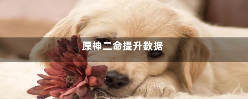 原神二命提升数据