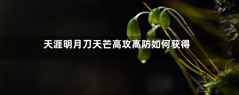 天涯明月刀天芒高攻高防如何获得