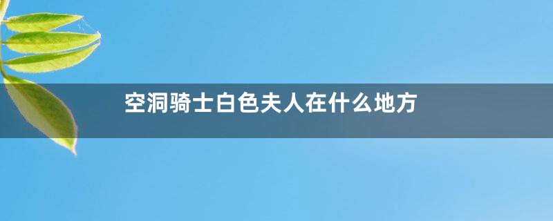 空洞骑士白色夫人在什么地方