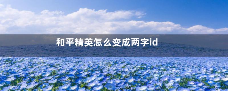 和平精英怎么变成两字id