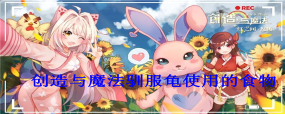 创造与魔法驯服龟的食物怎么做