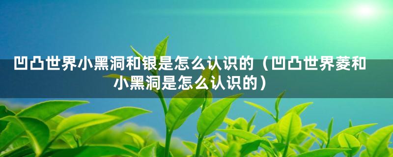 凹凸世界小黑洞和银是怎么认识的（凹凸世界菱和小黑洞是怎么认识的）