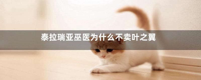 泰拉瑞亚巫医为什么不卖叶之翼