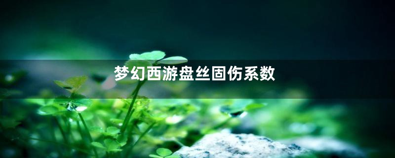 梦幻西游盘丝固伤系数