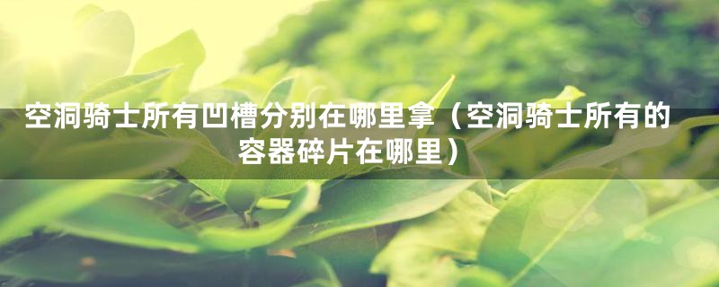 空洞骑士所有凹槽分别在哪里拿(空洞骑士所有的容器碎片在哪里)