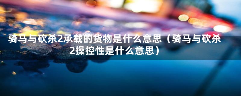 骑马与砍杀2承载的货物是什么意思(骑马与砍杀2操控性是什么意思)