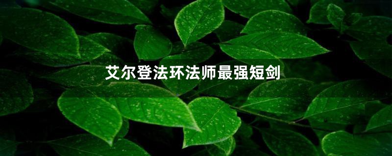 艾尔登法环法师最强短剑