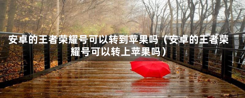 安卓的王者荣耀号可以转到苹果吗（安卓的王者荣耀号可以转上苹果吗）