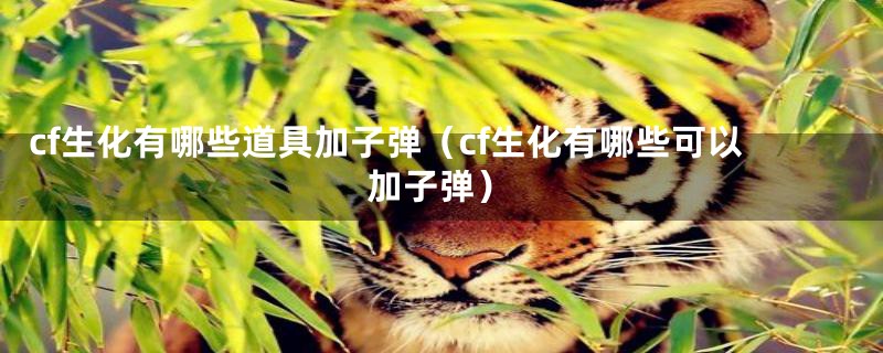 cf生化有哪些道具加子弹（cf生化有哪些可以加子弹）