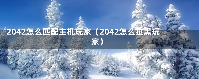 2042怎么匹配主机玩家(2042怎么拉黑玩家)