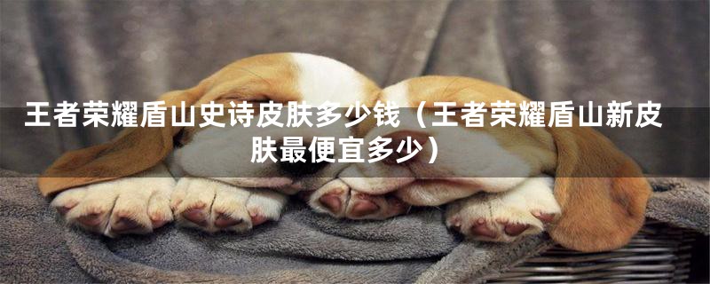 王者荣耀盾山史诗皮肤多少钱（王者荣耀盾山新皮肤最便宜多少）
