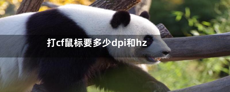 打cf鼠标要多少dpi和hz