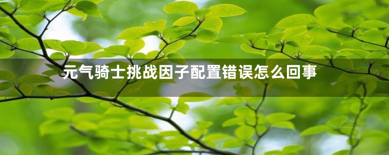 元气骑士挑战因子配置错误怎么回事