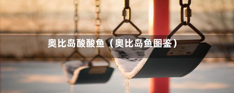 奥比岛酸酸鱼（奥比岛鱼图鉴）