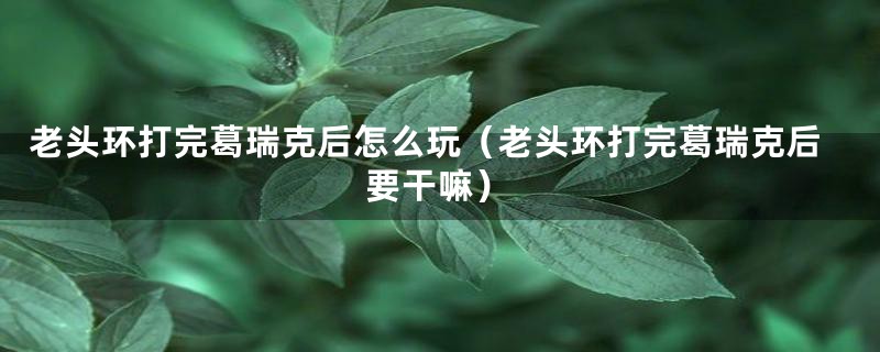 老头环打完葛瑞克后怎么玩(老头环打完葛瑞克后要干嘛)
