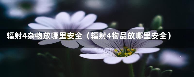 辐射4杂物放哪里安全（辐射4物品放哪里安全）