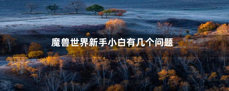 魔兽世界新手小白有几个问题