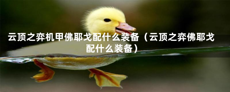 云顶之弈机甲佛耶戈配什么装备（云顶之弈佛耶戈配什么装备）