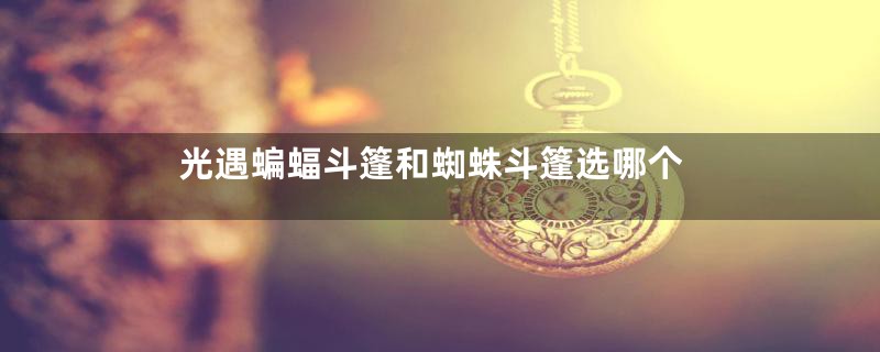 光遇蝙蝠斗篷和蜘蛛斗篷选哪个