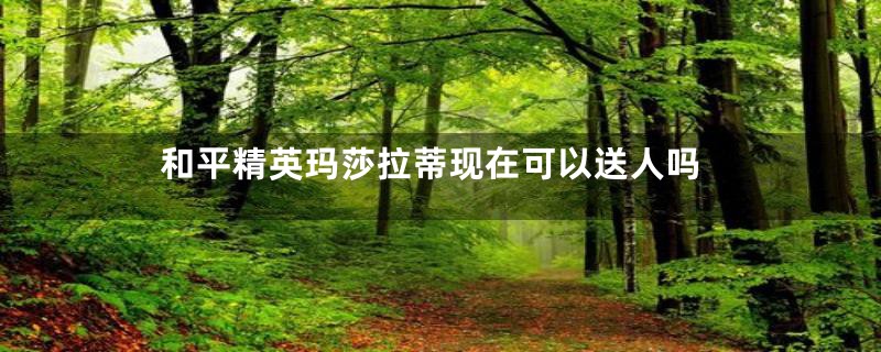 和平精英玛莎拉蒂现在可以送人吗