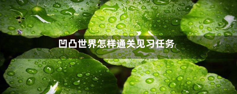 凹凸世界怎样通关见习任务