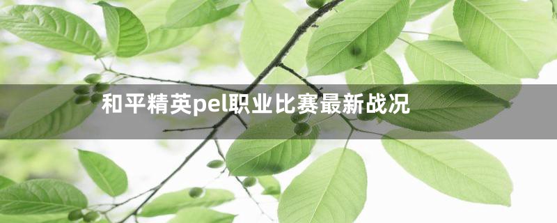 和平精英pel职业比赛最新战况