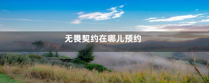 无畏契约在哪儿预约