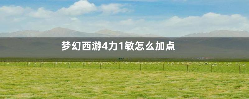 梦幻西游4力1敏怎么加点