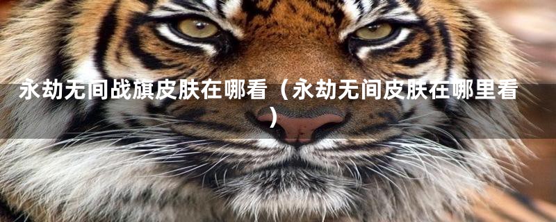永劫无间战旗皮肤在哪看（永劫无间皮肤在哪里看）