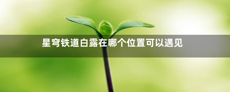 星穹铁道白露在哪个位置可以遇见