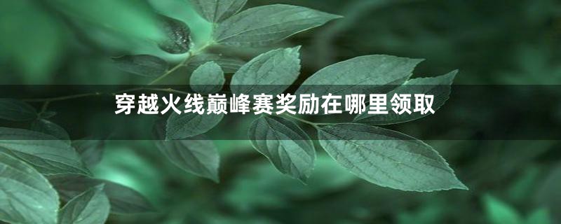 穿越火线巅峰赛奖励在哪里领取
