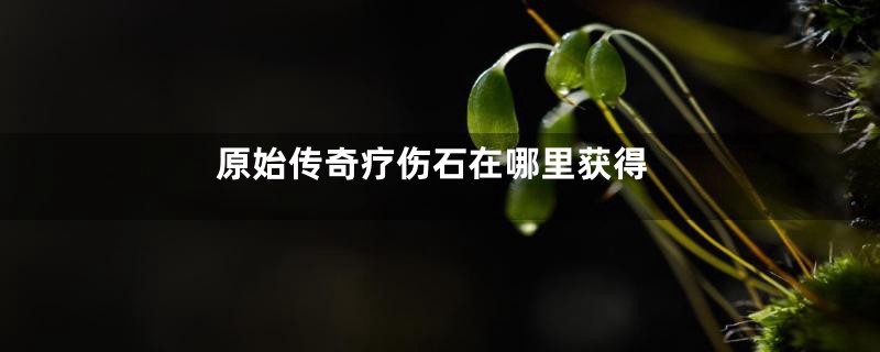 原始传奇疗伤石在哪里获得