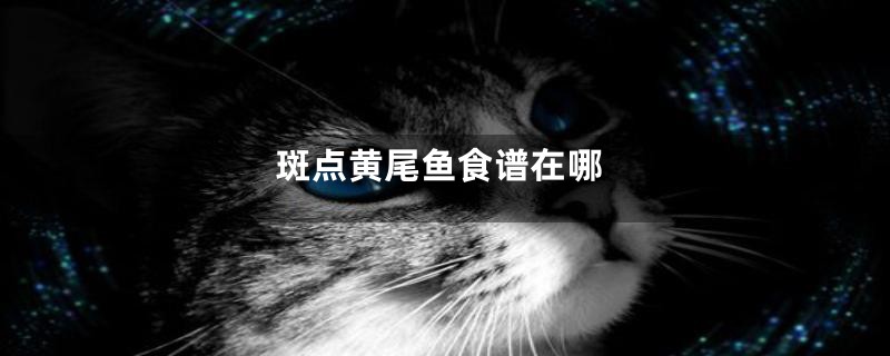 斑点黄尾鱼食谱在哪