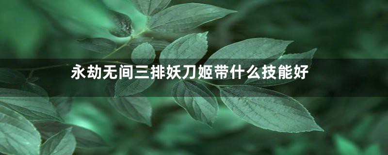 永劫无间三排妖刀姬带什么技能好