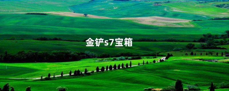 金铲s7宝箱