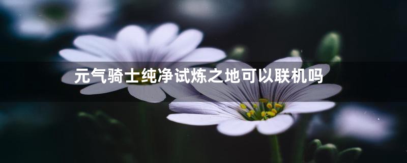 元气骑士纯净试炼之地可以联机吗