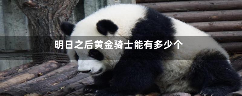 明日之后黄金骑士能有多少个