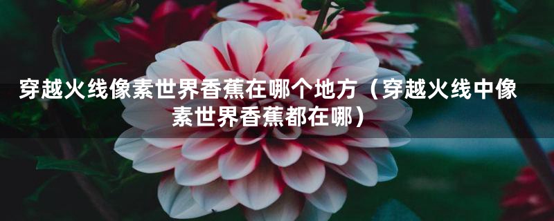 穿越火线像素世界香蕉在哪个地方（穿越火线中像素世界香蕉都在哪）