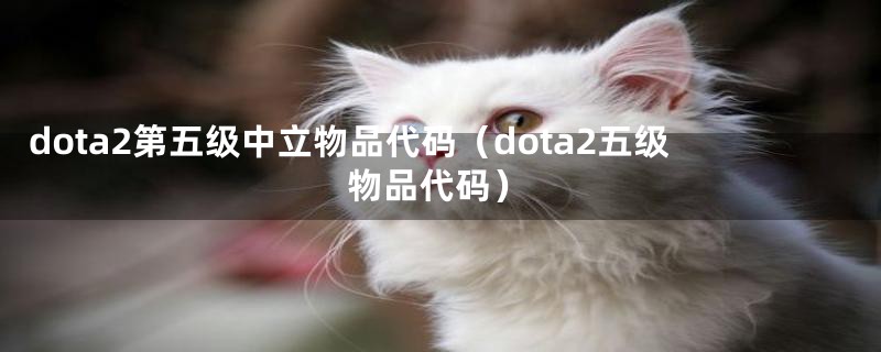 dota2第五级中立物品代码(dota2五级物品代码)
