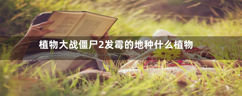 植物大战僵尸2发霉的地种什么植物