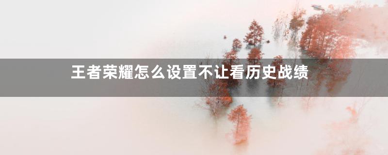 王者荣耀怎么设置不让看历史战绩