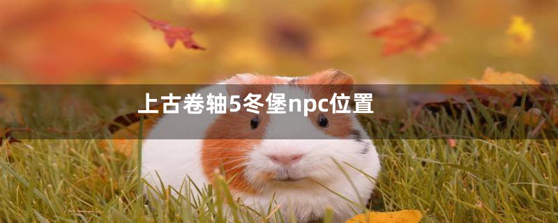上古卷轴5冬堡npc位置