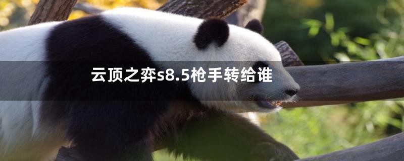云顶之弈s8.5枪手转给谁