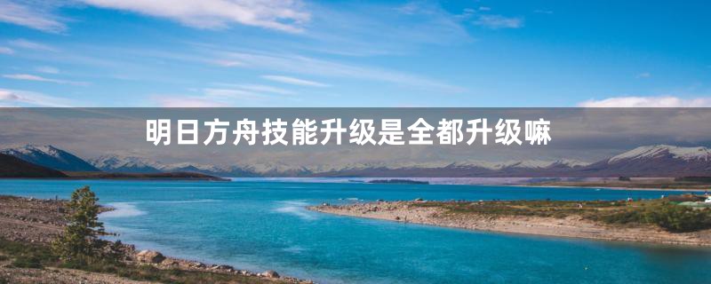 明日方舟技能升级是全都升级嘛