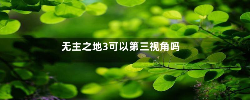 无主之地3可以第三视角吗
