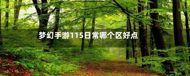 梦幻手游115日常哪个区好点
